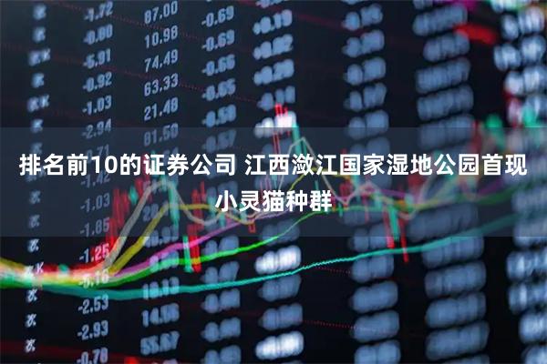 排名前10的证券公司 江西潋江国家湿地公园首现小灵猫种群