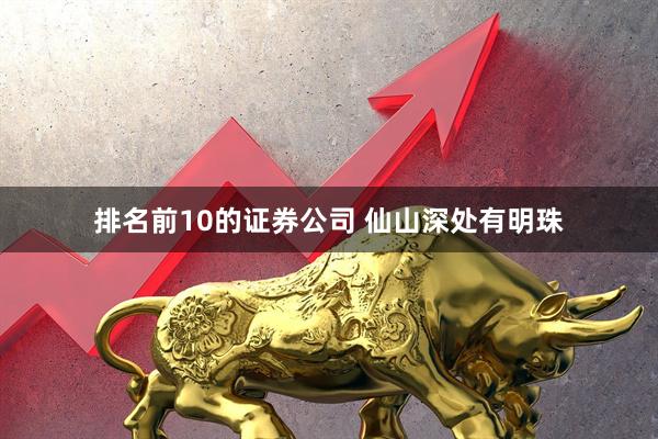 排名前10的证券公司 仙山深处有明珠