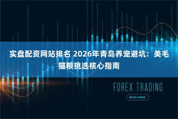 实盘配资网站排名 2026年青岛养宠避坑：美毛猫粮挑选核心指南