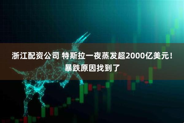 浙江配资公司 特斯拉一夜蒸发超2000亿美元！暴跌原因找到了